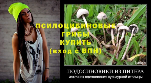 гидра Волосово