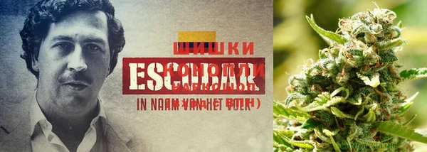 каннабис Володарск