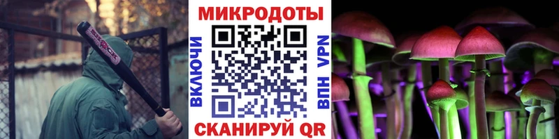 Псилоцибиновые грибы Psilocybine cubensis купить закладку Калач-на-Дону